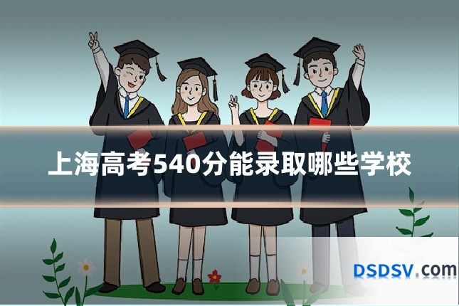 上海高考540分能录取哪些学校