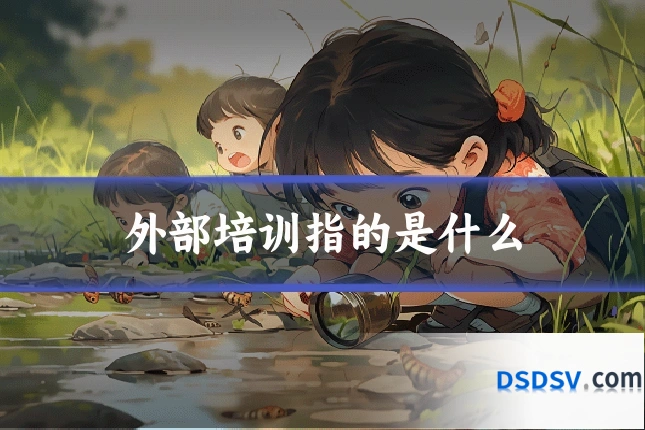外部培训指的是什么