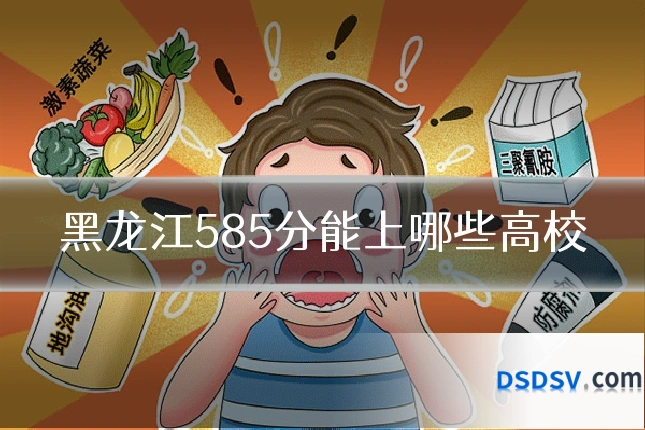 黑龙江585分能上哪些高校