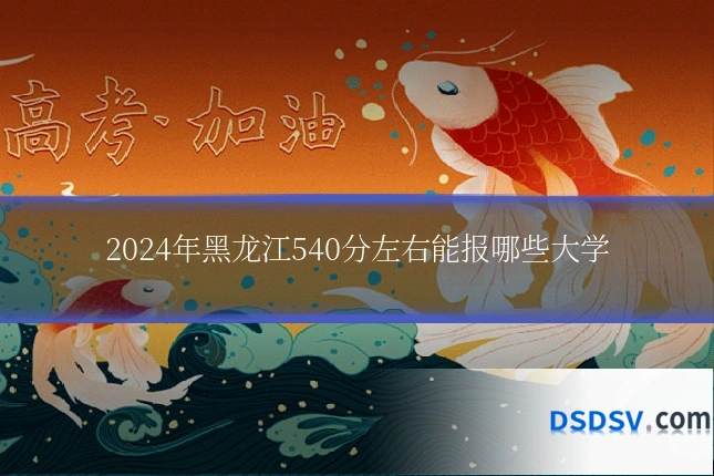 2024年黑龙江540分左右能报哪些大学