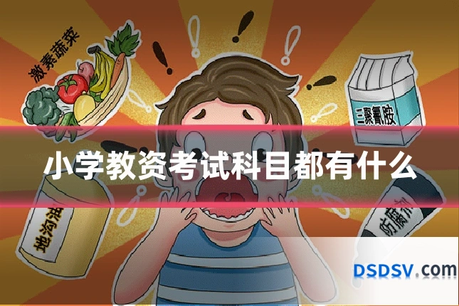 小学教资考试科目都有什么