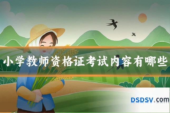 小学教师资格证考试内容有哪些