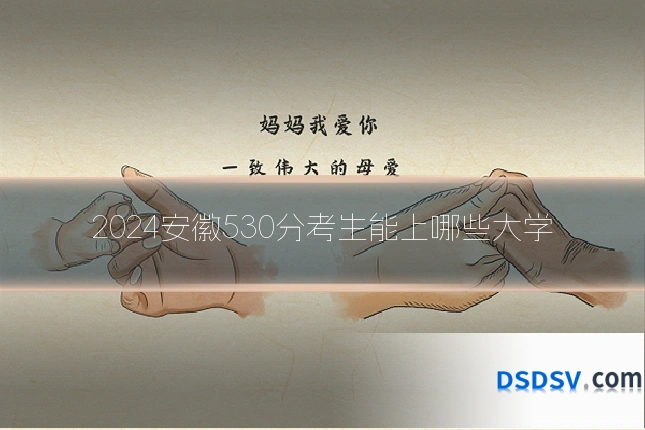 2024安徽530分考生能上哪些大学