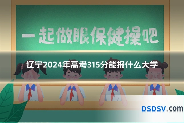 辽宁2024年高考315分能报什么大学