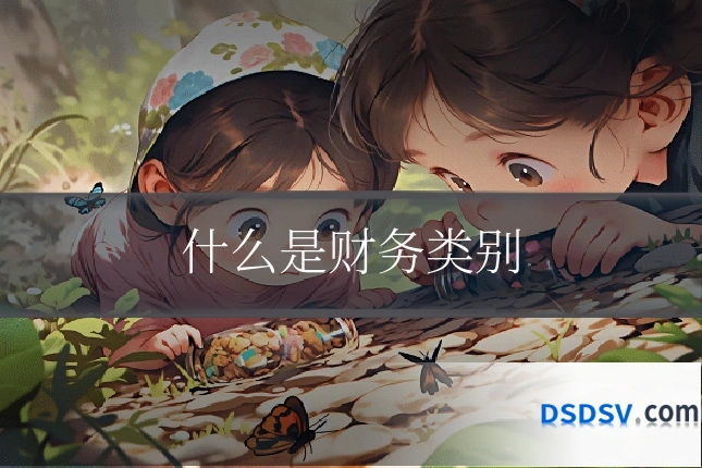 什么是财务类别