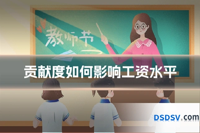 贡献度如何影响工资水平