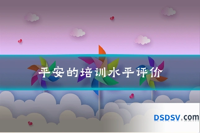 平安的培训水平评价