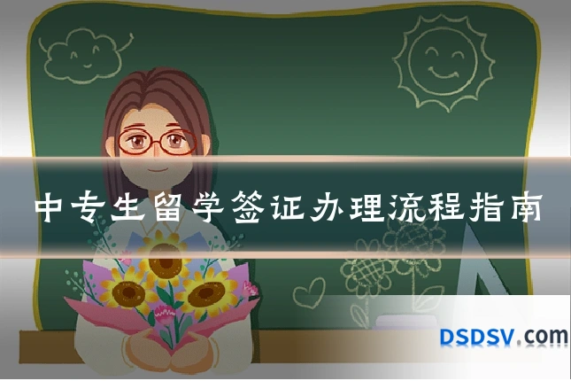 中专生留学签证办理流程指南