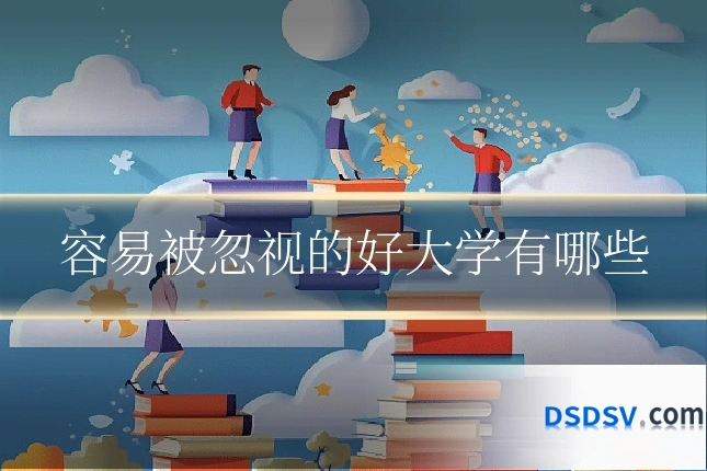 容易被忽视的好大学有哪些