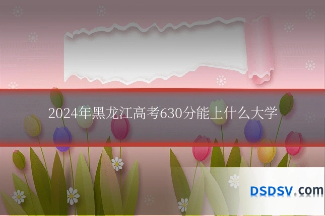 2024年黑龙江高考630分能上什么大学