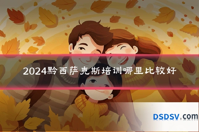 2024黔西萨克斯培训哪里比较好