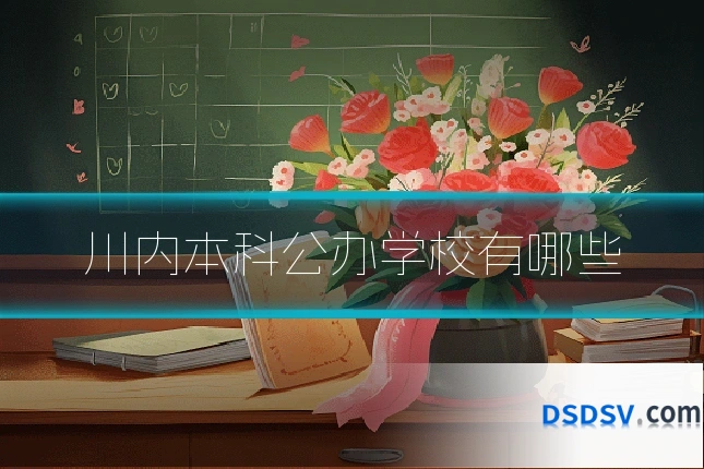 川内本科公办学校有哪些