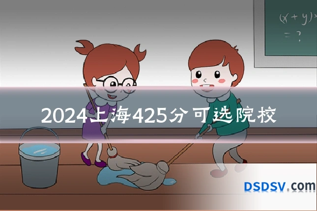 2024上海425分可选院校