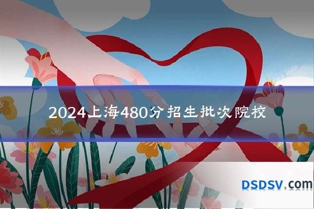 2024上海480分招生批次院校