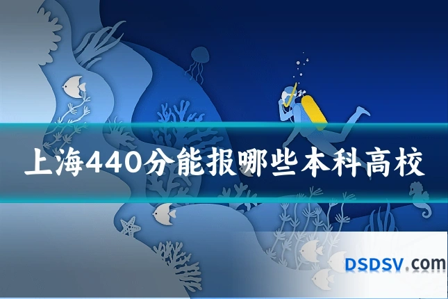 上海440分能报哪些本科高校