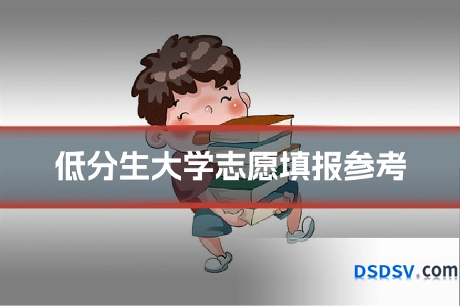 低分生大学志愿填报参考
