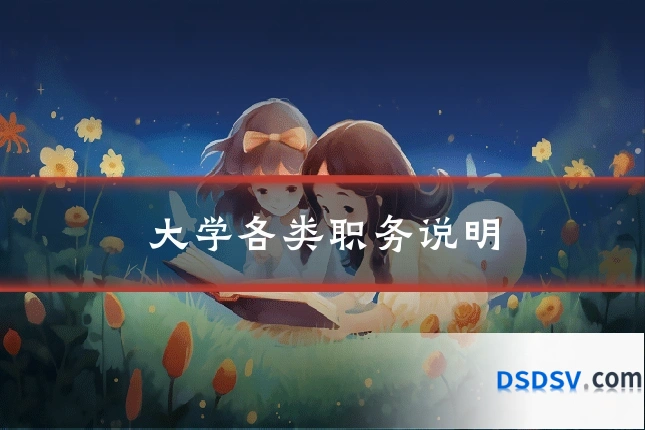 大学各类职务说明
