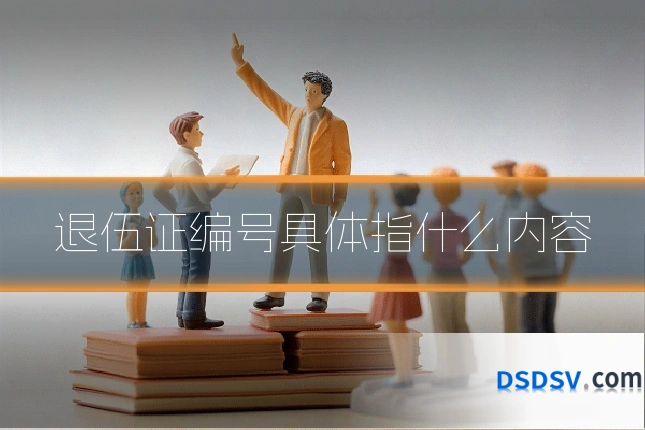 退伍证编号具体指什么内容