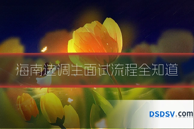 海南选调生面试流程全知道