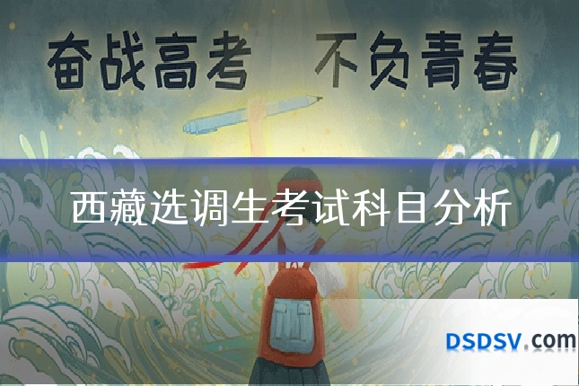 西藏选调生考试科目分析