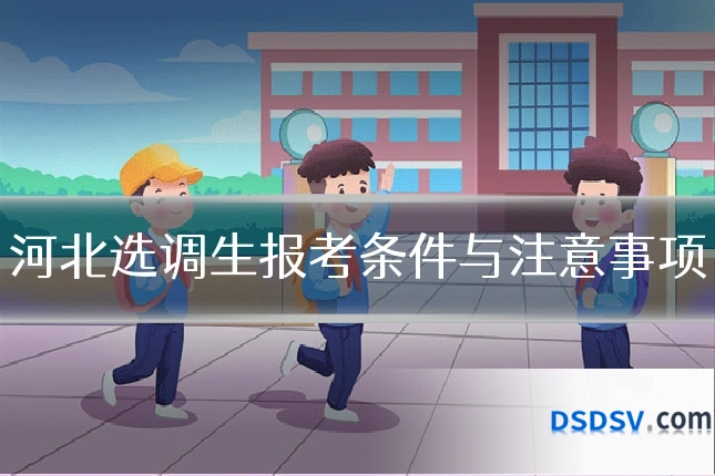 河北选调生报考条件与注意事项
