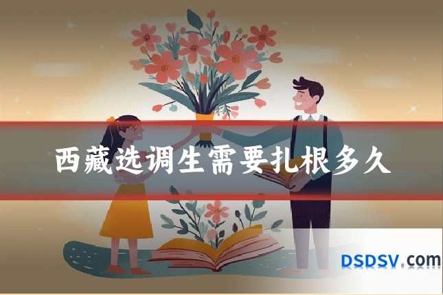 西藏选调生需要扎根多久