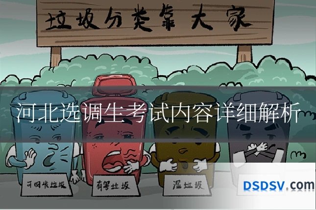 河北选调生考试内容详细解析