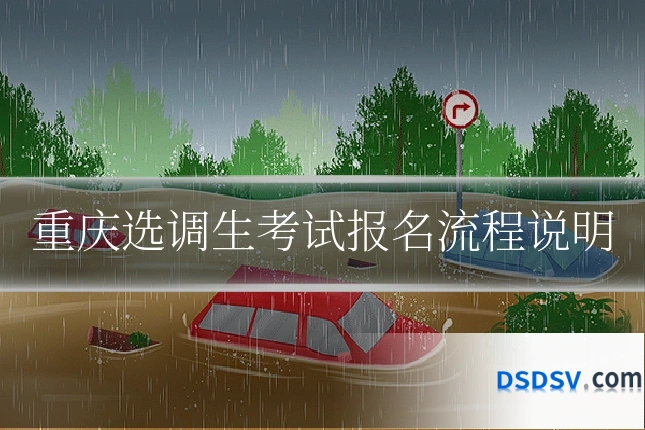 重庆选调生考试报名流程说明