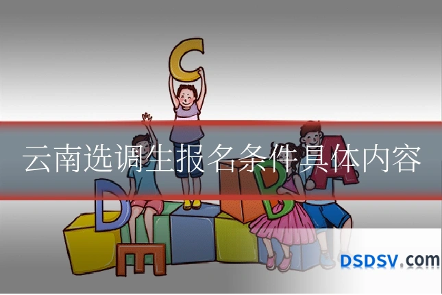 云南选调生报名条件具体内容