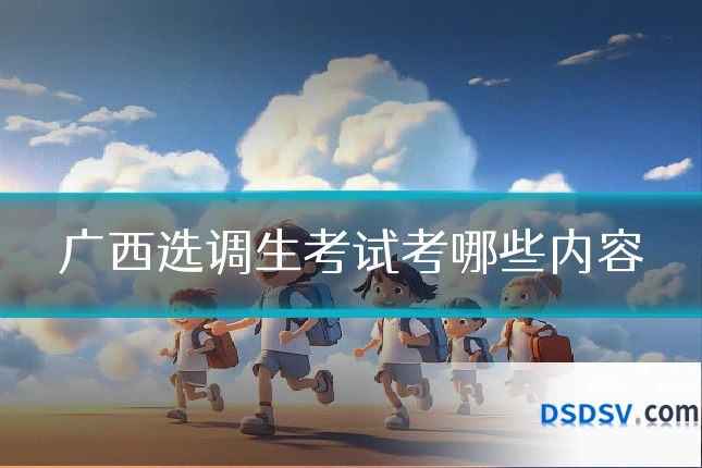 广西选调生考试考哪些内容