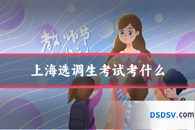 上海选调生考试考什么