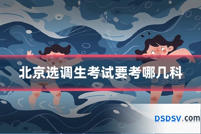 北京选调生考试要考哪几科