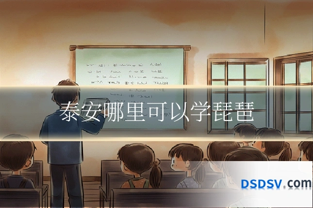 泰安哪里可以学琵琶