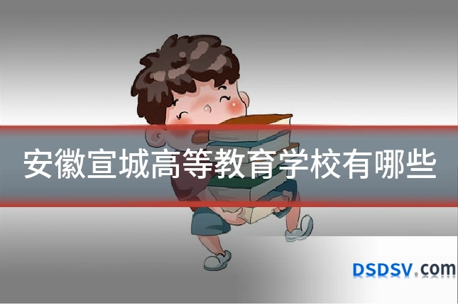 安徽宣城高等教育学校有哪些
