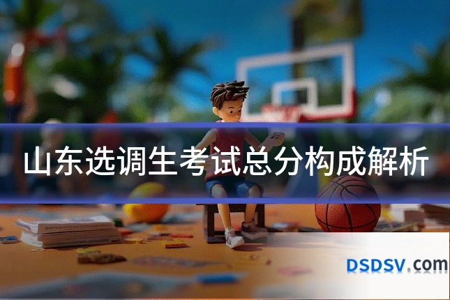山东选调生考试总分构成解析