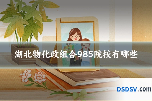 湖北物化政组合985院校有哪些