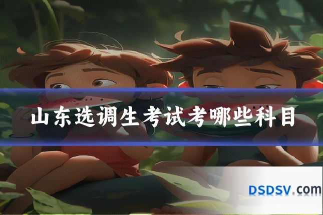 山东选调生考试考哪些科目