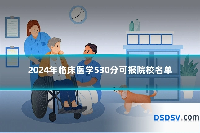 2024年临床医学530分可报院校名单
