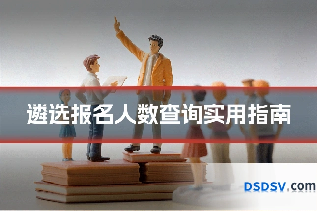 遴选报名人数查询实用指南