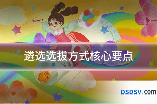 遴选选拔方式核心要点