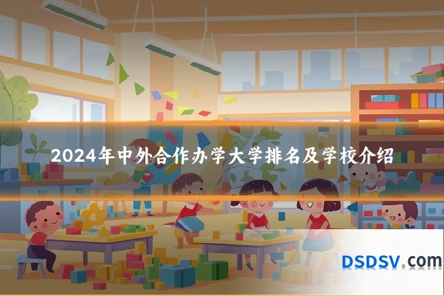 2024年中外合作办学大学排名及学校介绍