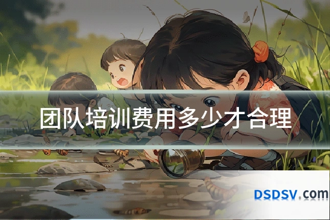 团队培训费用多少才合理