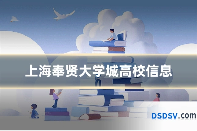 上海奉贤大学城高校信息