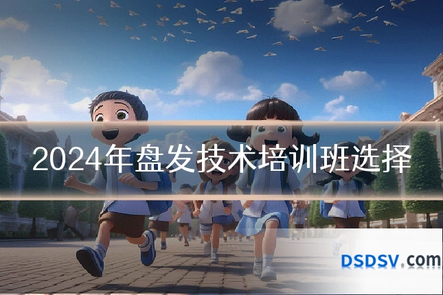 2024年盘发技术培训班选择