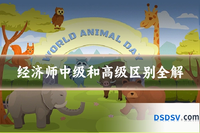 经济师中级和高级区别全解