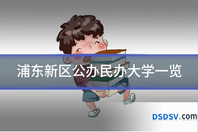 浦东新区公办民办大学一览