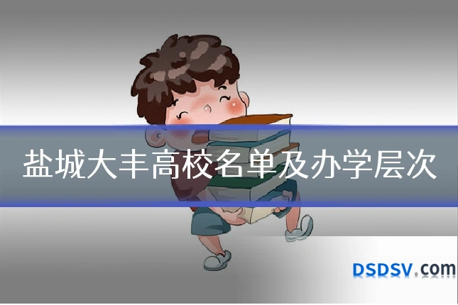 盐城大丰高校名单及办学层次