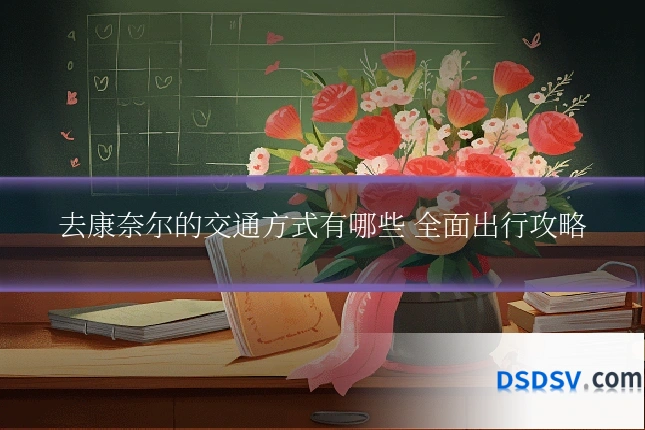 去康奈尔的交通方式有哪些 全面出行攻略