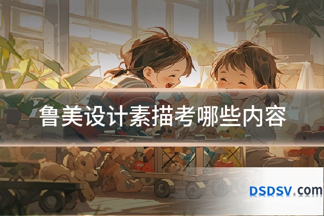鲁美设计素描考哪些内容