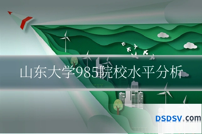 山东大学985院校水平分析